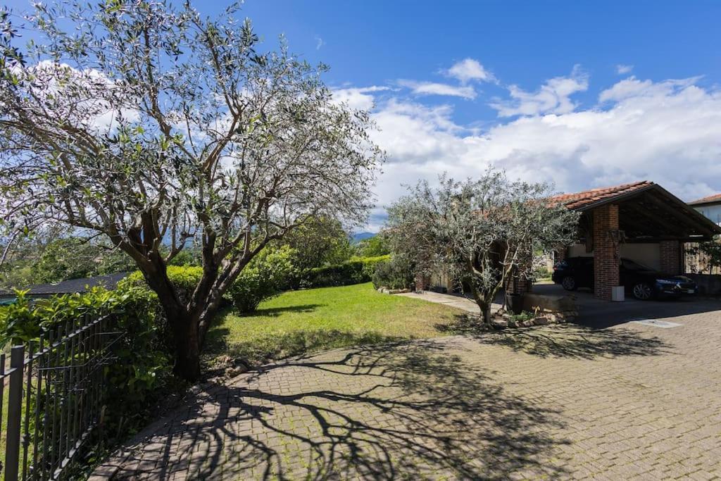 Villa Bruno Selvago In Lessona Exterior foto